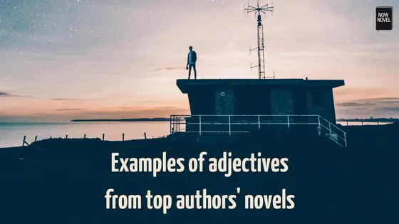 Examples of adjectives from top authors' novels