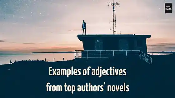 Examples of adjectives from top authors' novels