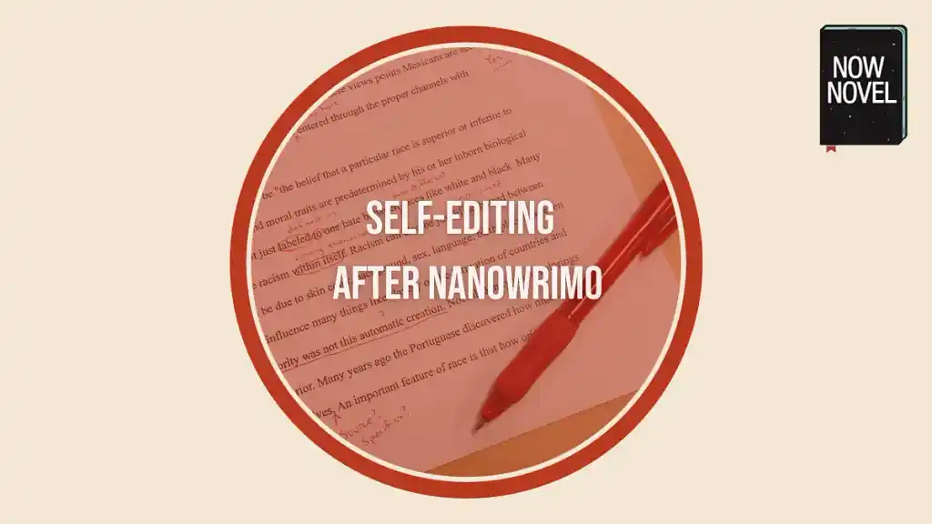 Self-editing after NaNoWriMo